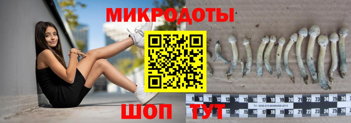 Москва  Галлюциногенные грибы ЛСД  Псилоцибиновые грибы мухоморы  Вход с VPN 